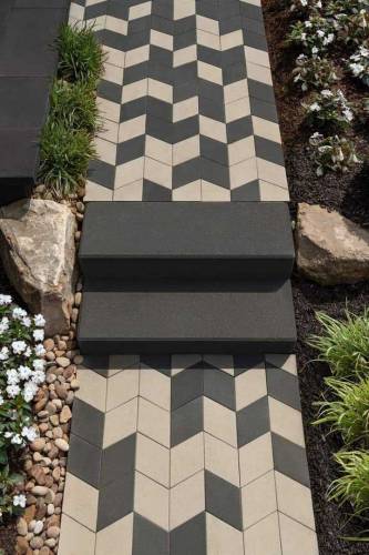 Taaf tails Home garden 
