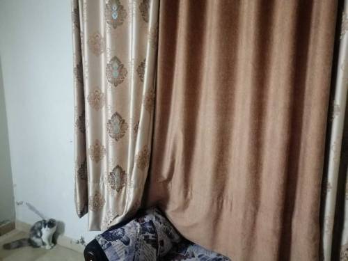 Brown Curtains