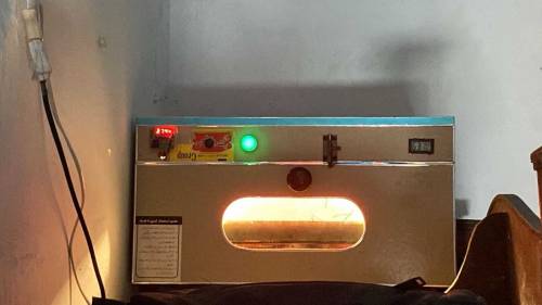 Eggs Incubator Machine