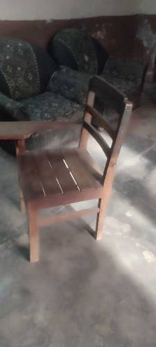 School chairs in pure wood 