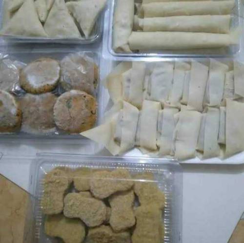 Homemade Frozen Food