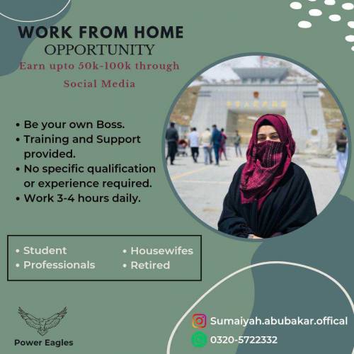 Work From Home Opportunity