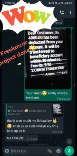freelancing project 