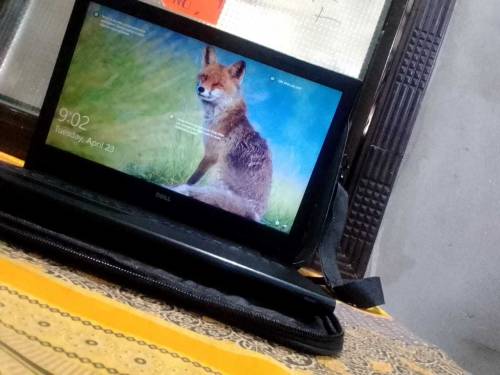 It is a laptop second hand but in better condition 