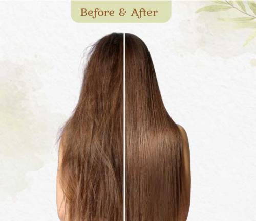 sikakai herbal shampoo
