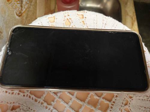 Vivo s1