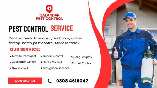 Qalandar Pest Control offers a wide range of pest management including