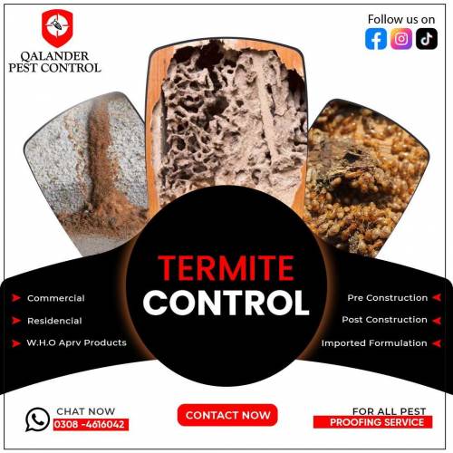 Qalandar Pest Control offers a wide range of pest management including