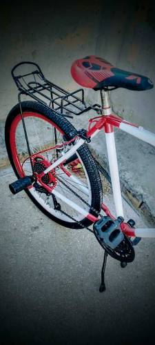 phoenix cycle 