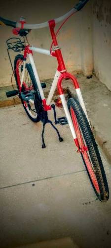 phoenix cycle 