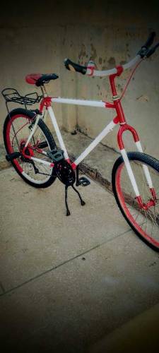 phoenix cycle 