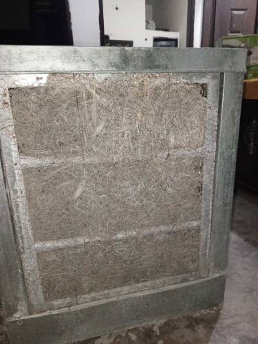 air cooler