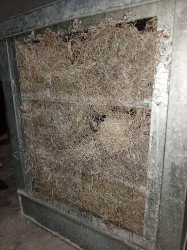 air cooler
