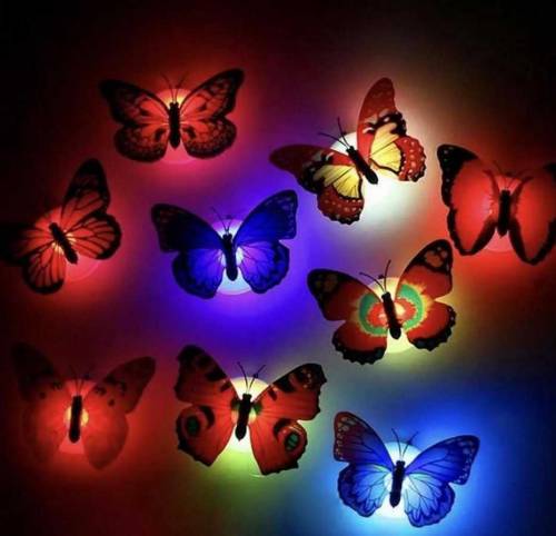 6 led butterflies 🤩 very beautiful😍😍