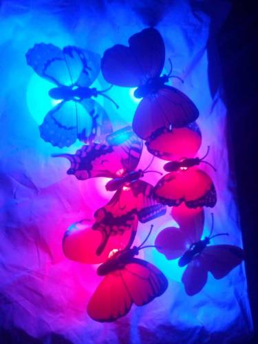 6 led butterflies 🤩 very beautiful😍😍