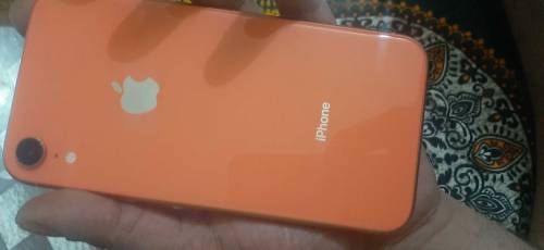 APPLE IFON XR 
