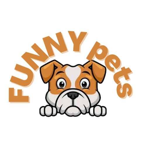 logo designing service in just:1000