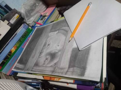 Make sketch on demand, Art work, pencil sketch, make sketch of photos