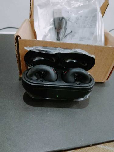 SG50 earbuds