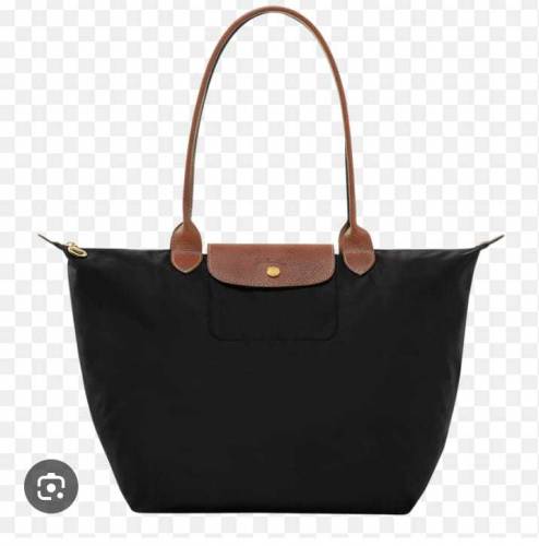 Longcham bag