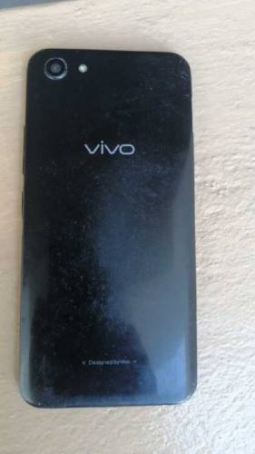 vivo