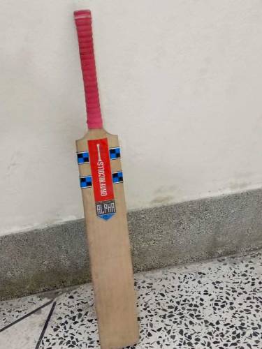 Gray Nicholls Cricket Bat
