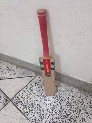 Gray Nicholls Cricket Bat