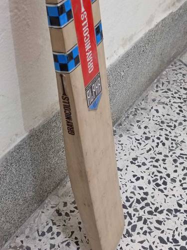 Gray Nicholls Cricket Bat