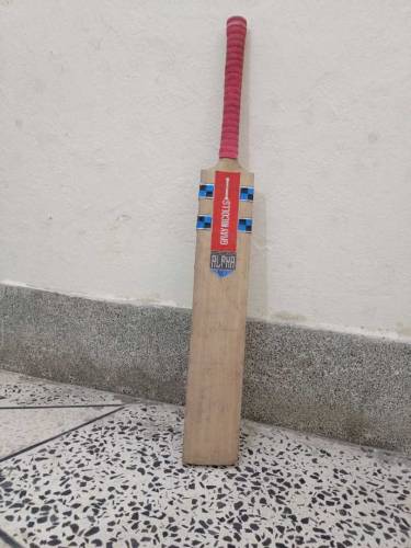 Gray Nicholls Cricket Bat