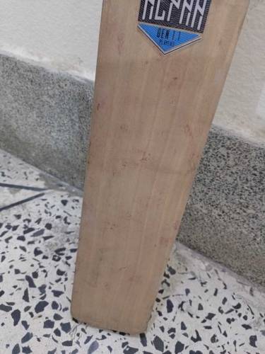 Gray Nicholls Cricket Bat