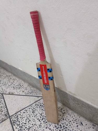 Gray Nicholls Cricket Bat