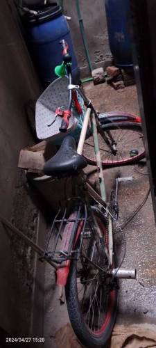 Sports Viling Bicycle 