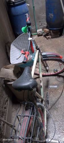 Sports Viling Bicycle 