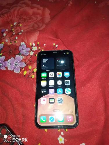 iPhone11