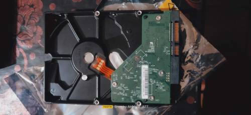 hard drive wd 500gb 