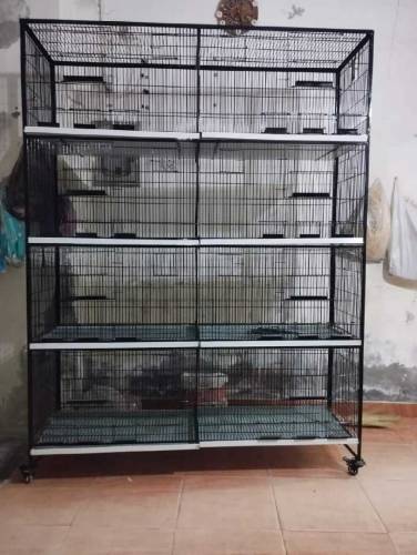 Birds Cages available for wholesale prices 