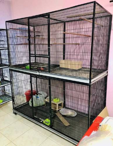 Birds Cages available for wholesale prices 