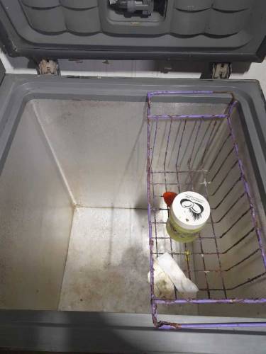 dip freezer 