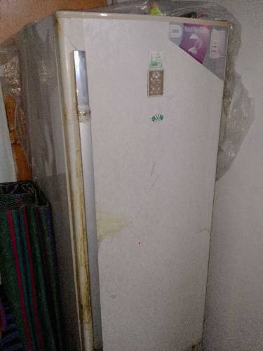 one dor freezer 