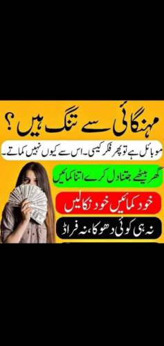 گھر بیٹھے انٹرنیٹ کا استعمال کر کے اپنا بزنس کریں اور ڈالر میں کمائیں