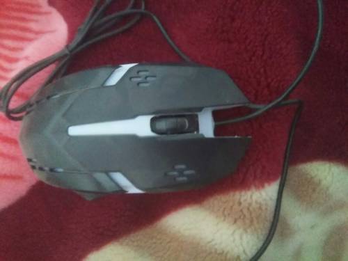 mouse
