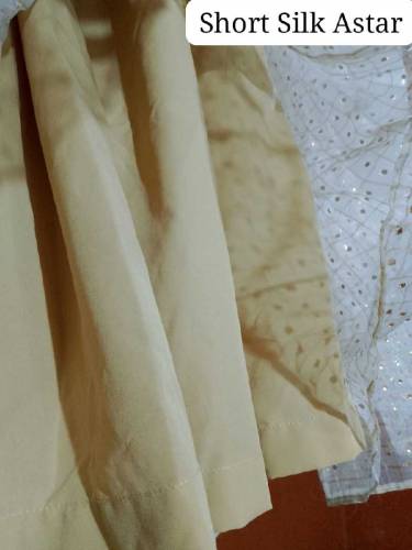 Organza Long Maxi