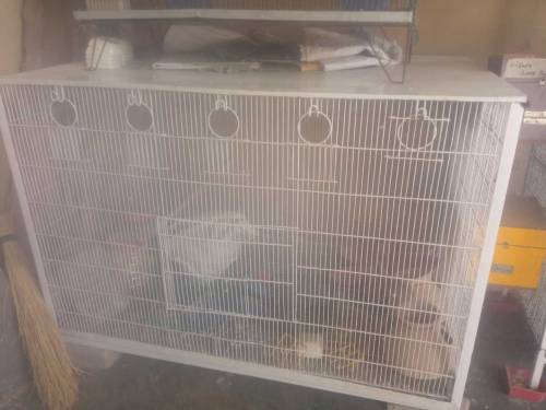 brids colony