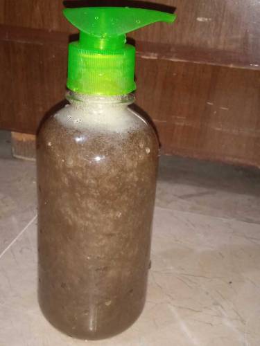 retha ammla sekakaie pure shampoo 