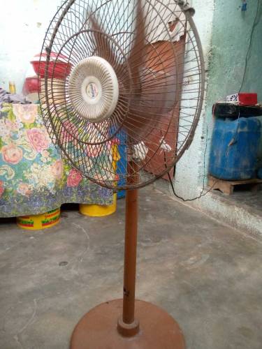 fan