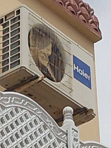 Haier AC in good condition 