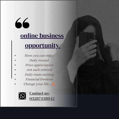 online business opportunity 
