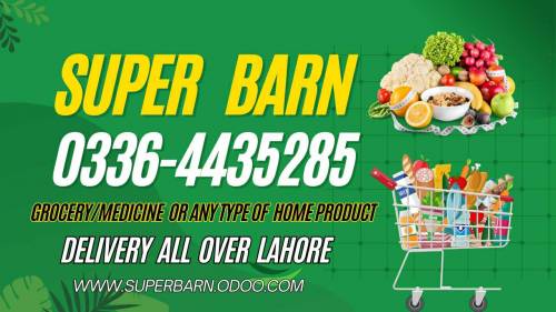 Grocery Delivery Services