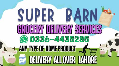 Grocery Delivery Services