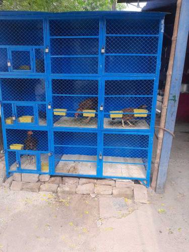 cage for sale price difrent ha lany wala rabta kry whatsp ase number p